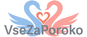 VseZaPoroko.net logo
