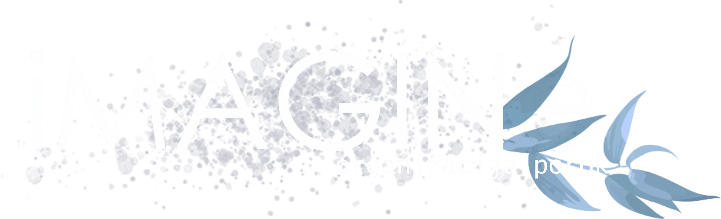 iMAGINe Wedding Planners logo