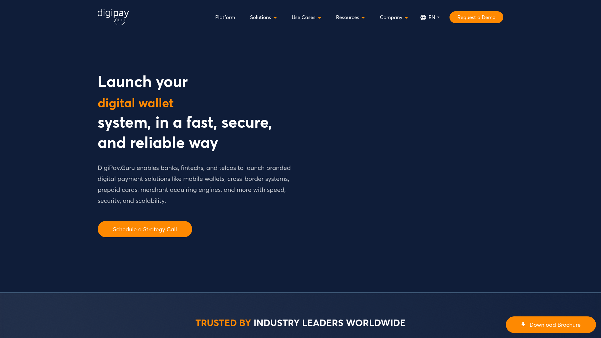 DigiPay.Guru logo