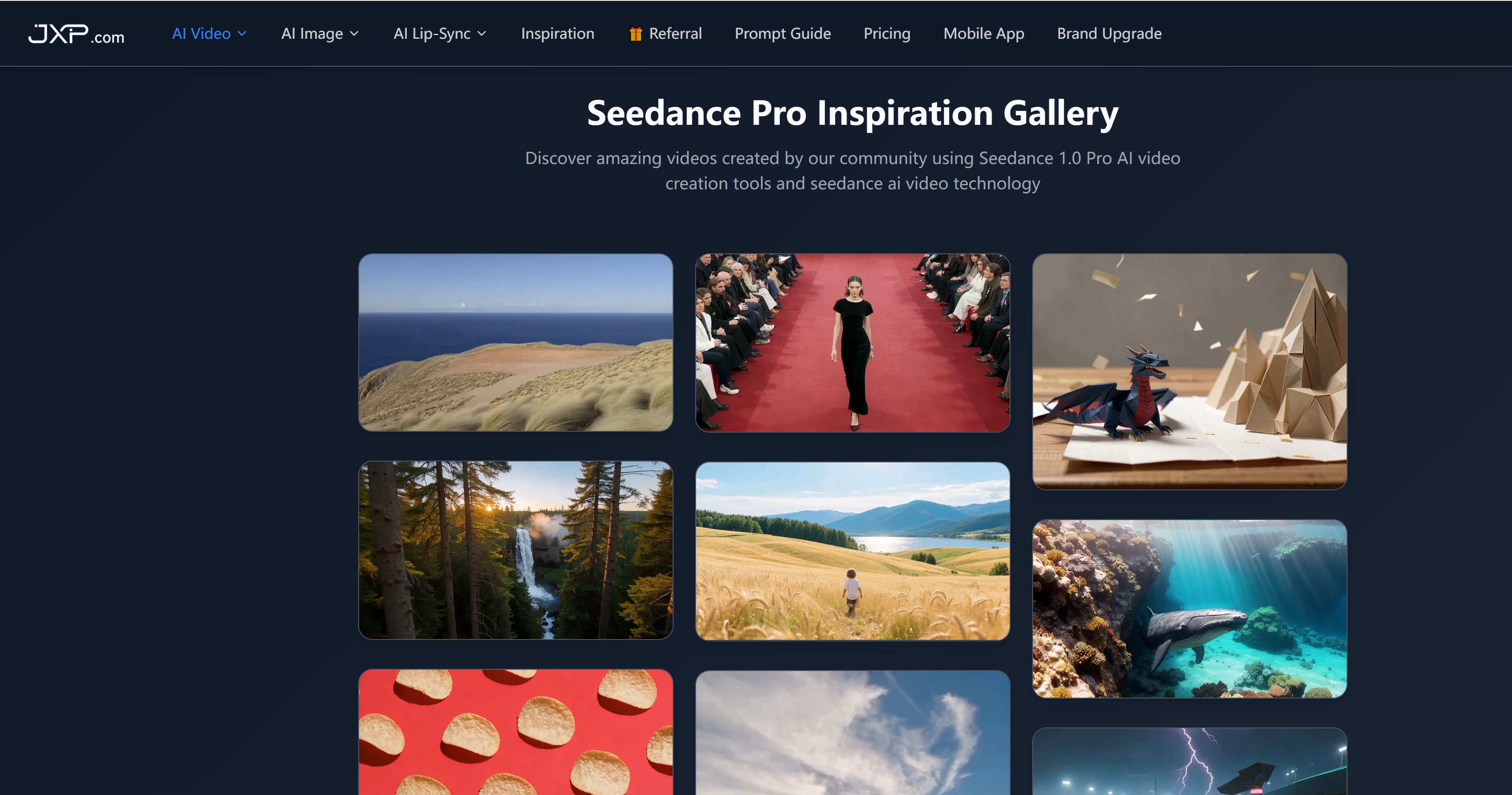 JXP-Seedance1.5 logo