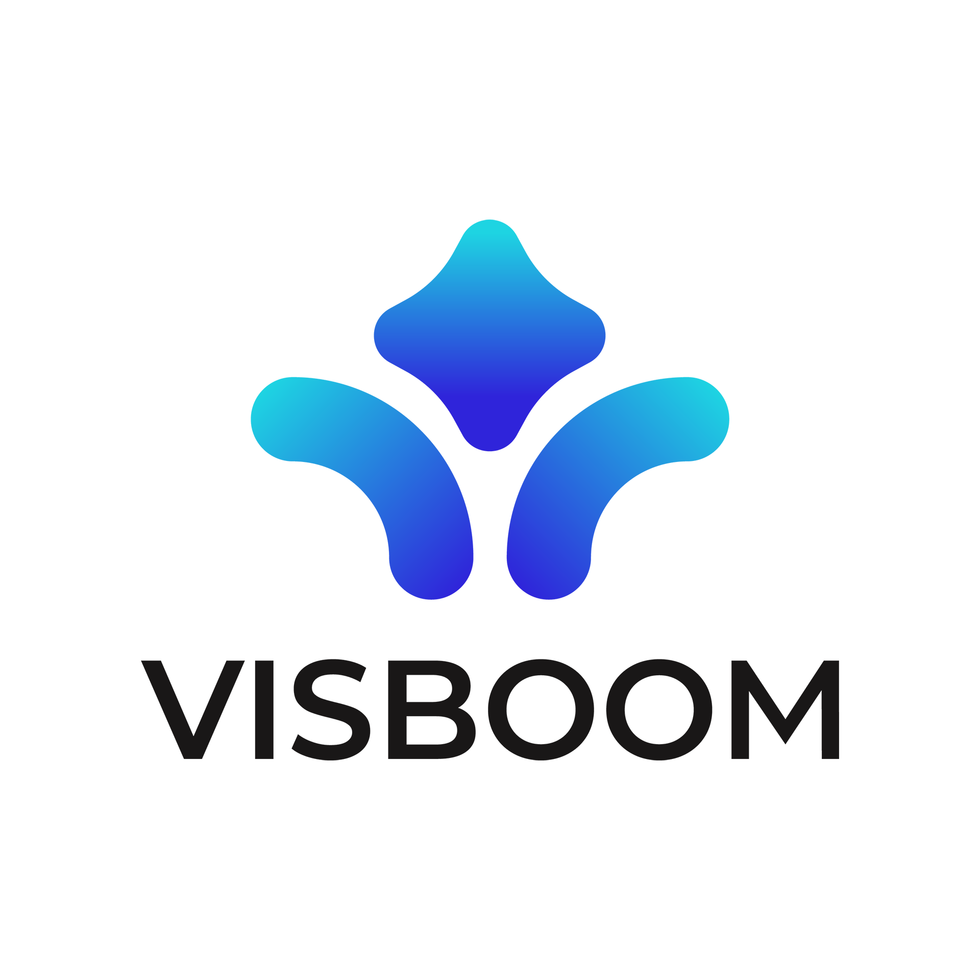 Visboom Logo