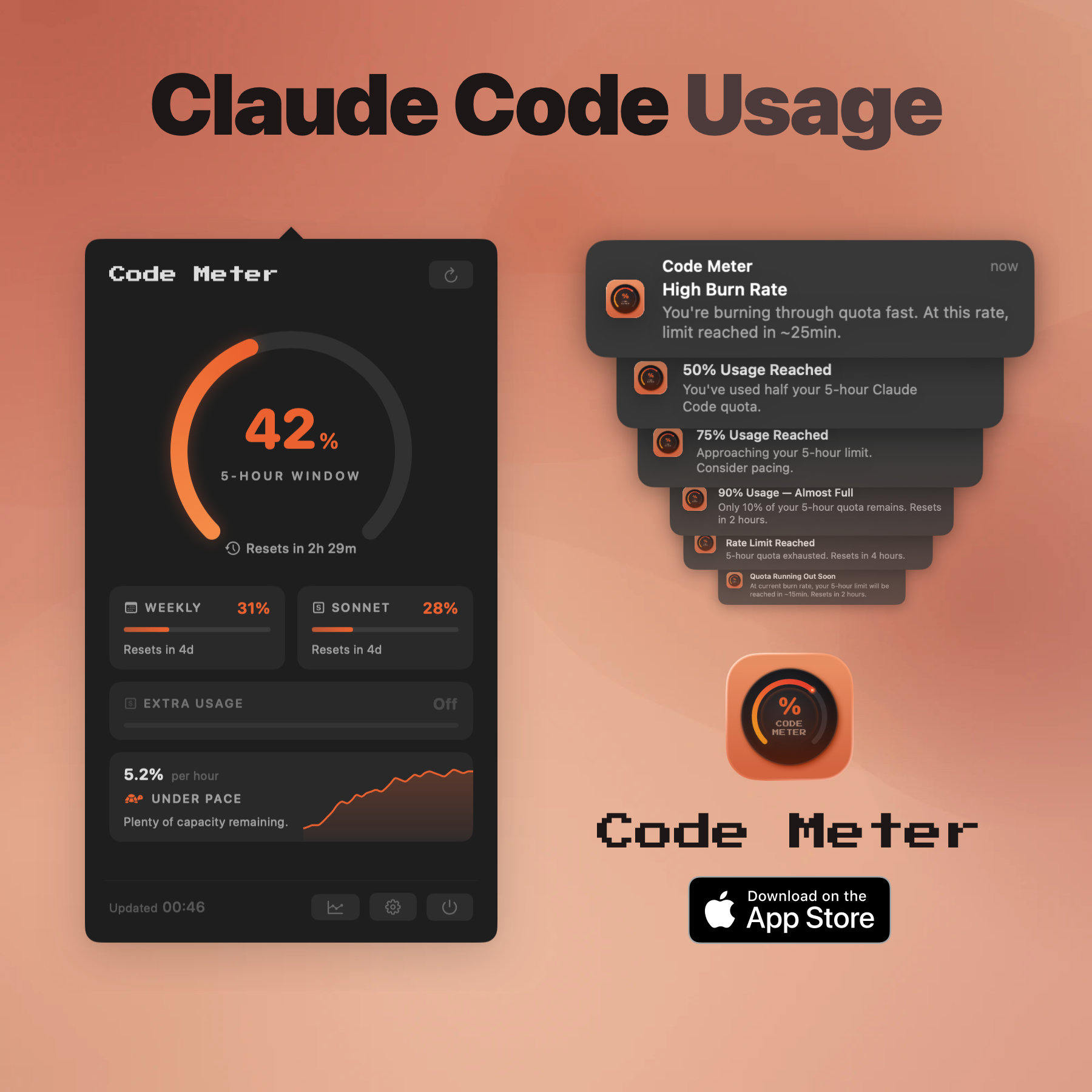 Code Meter logo