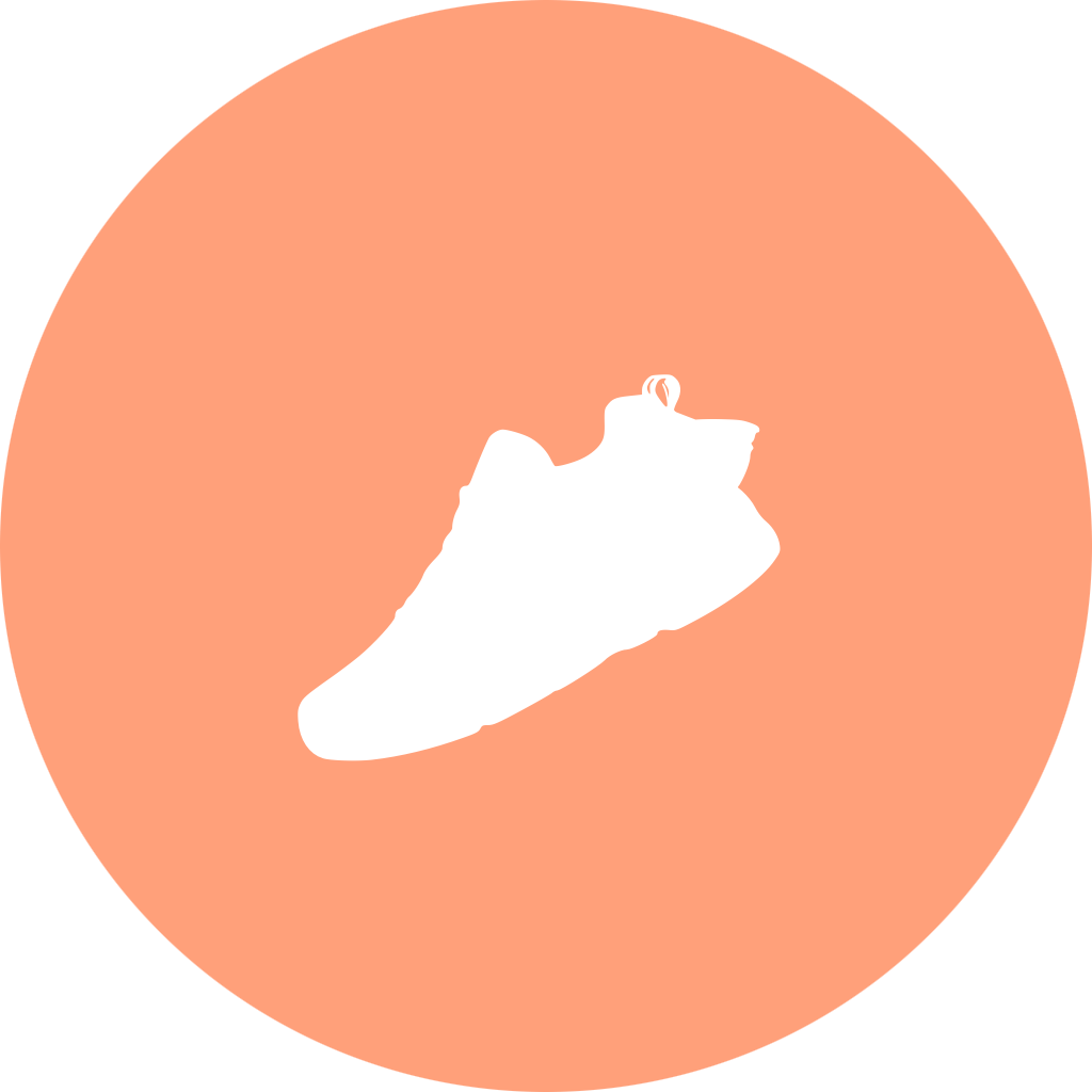 BuddyBoost Logo